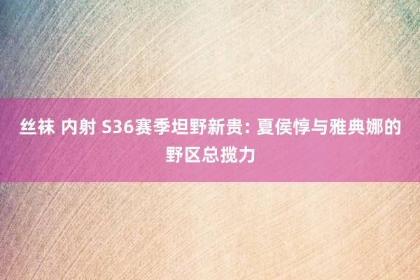 丝袜 内射 S36赛季坦野新贵: 夏侯惇与雅典娜的野区总揽力