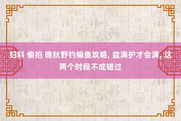 妇科 偷拍 晚秋野钓鳊鱼攻略， 盆满护才会满， 这两个时段不成错过