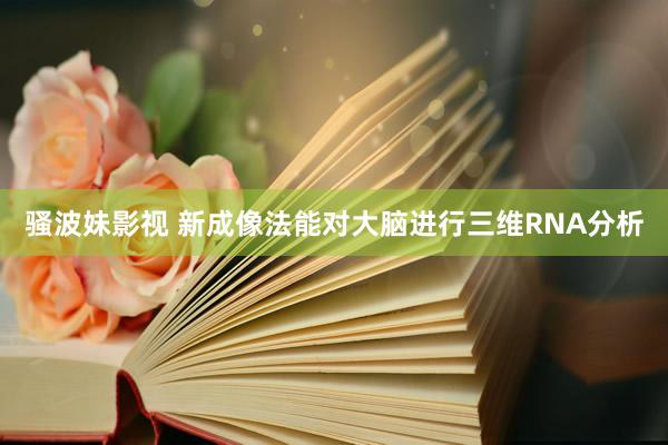 骚波妹影视 新成像法能对大脑进行三维RNA分析